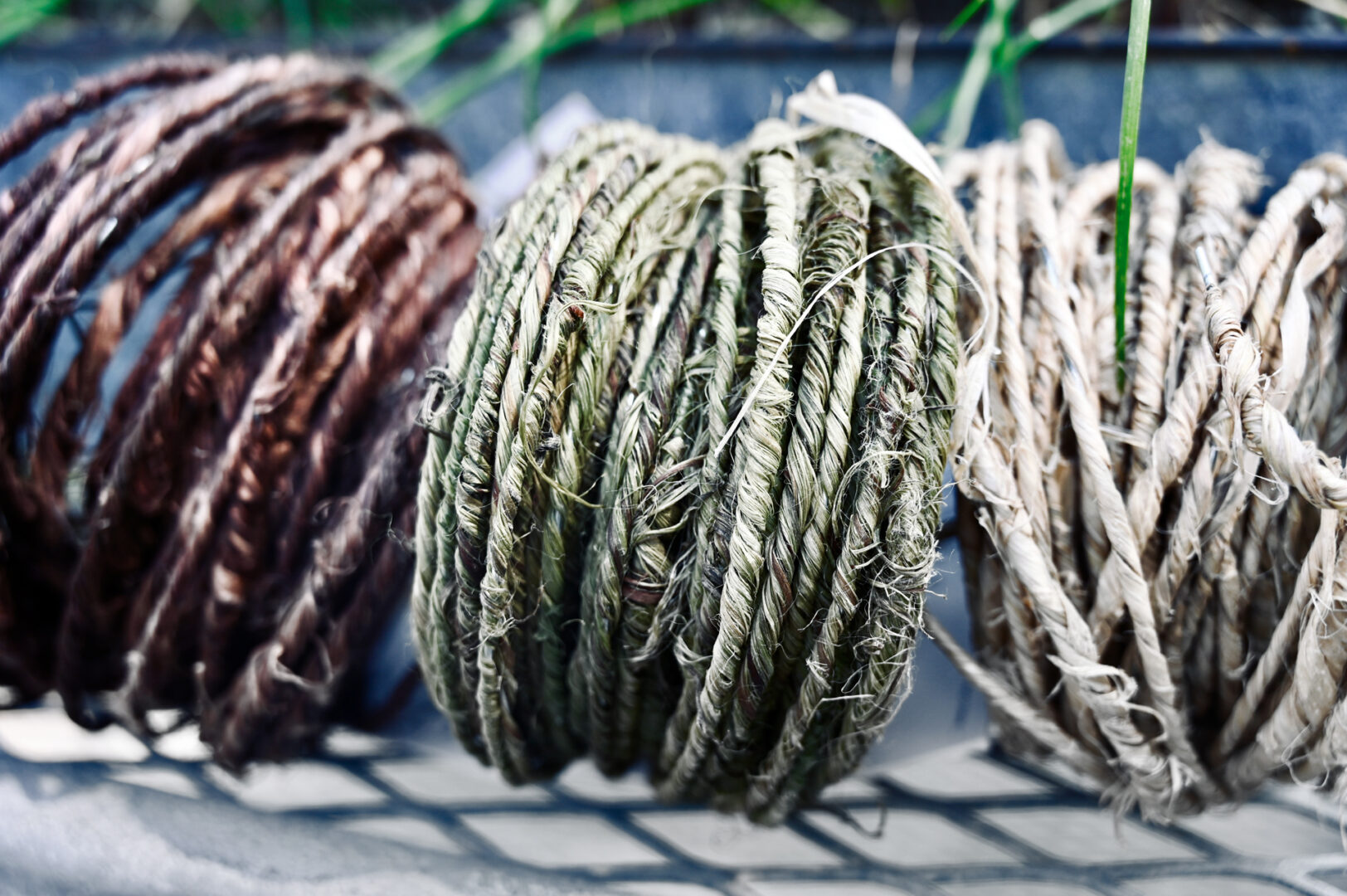 Bark Wire
