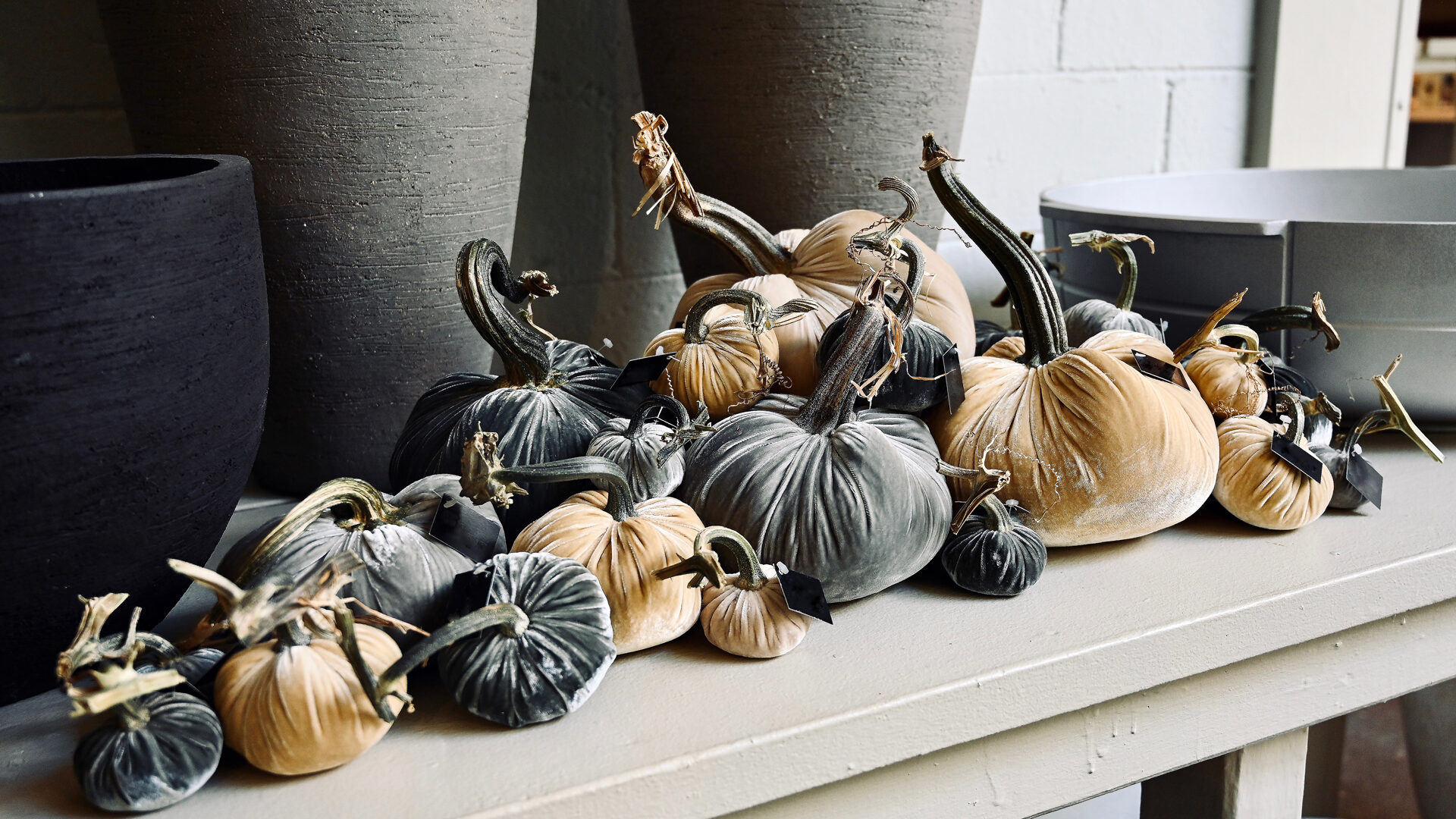 Velvet Pumpkins with Natural Stem - Detroit Garden Works