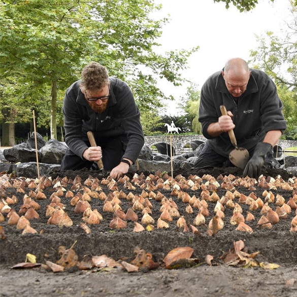 Detroit Garden Works