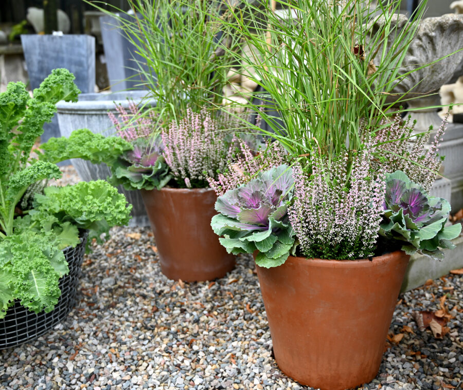 Shop: Containers | Detroit Garden Works