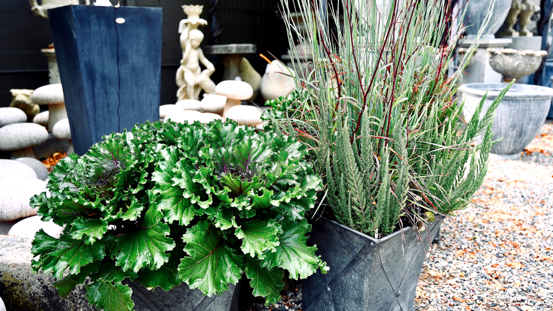 Fall Front and Center - Detroit Garden Works