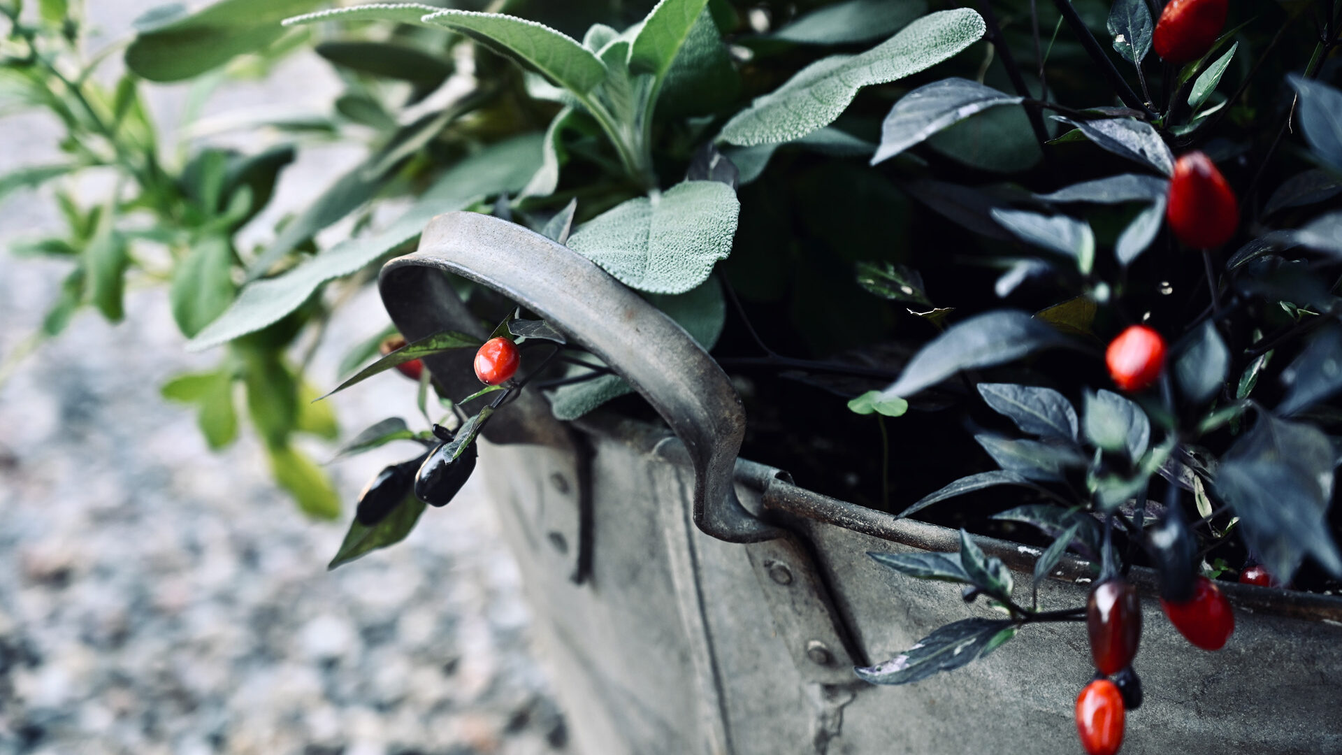 Detroit Garden Works