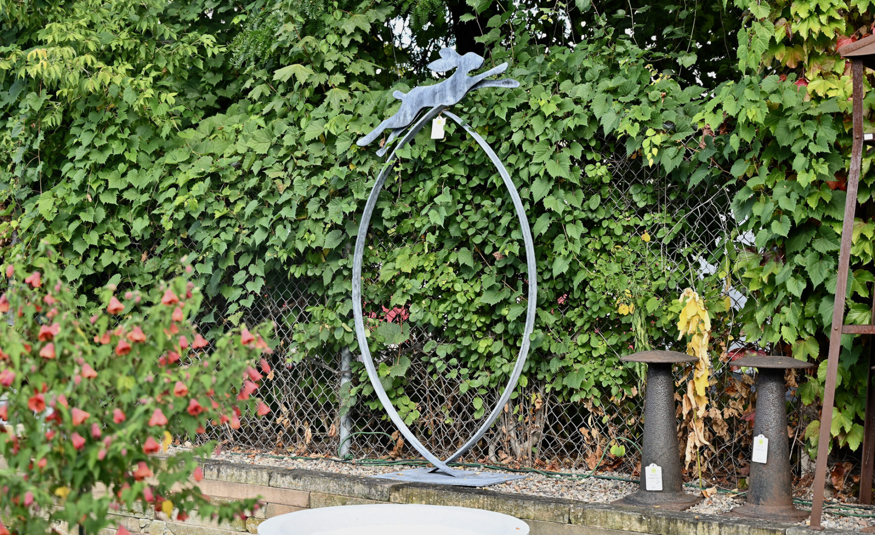 Hare Leaping Over Hoop II
