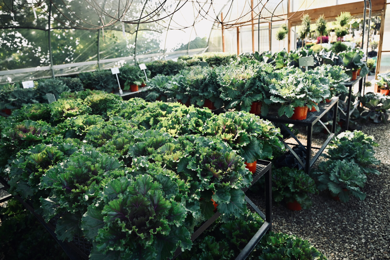 Detroit Garden Works