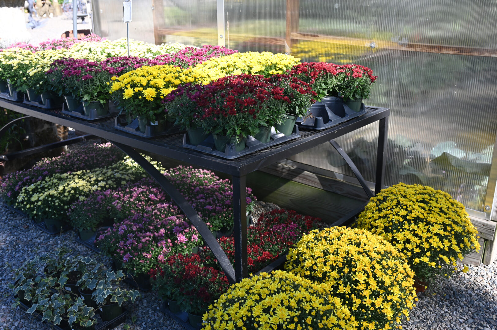 Detroit Garden Works