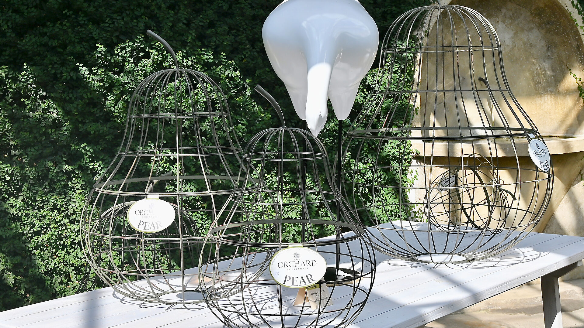 Shop: Orchard Pears | Detroit Garden Works