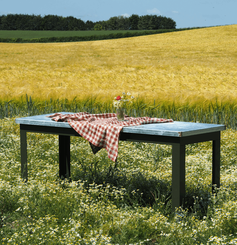 Shop: Outdoor Living | Detroit Garden Works