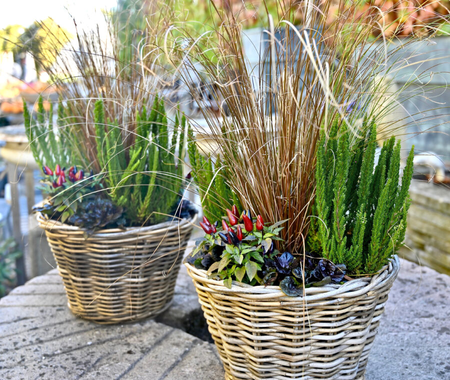 Shop: Containers | Detroit Garden Works