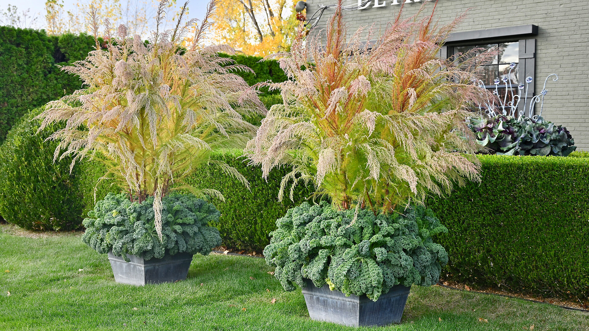 Hudson Square Tapers with Elegant Feather and Prizm Kale - Detroit Garden Works
