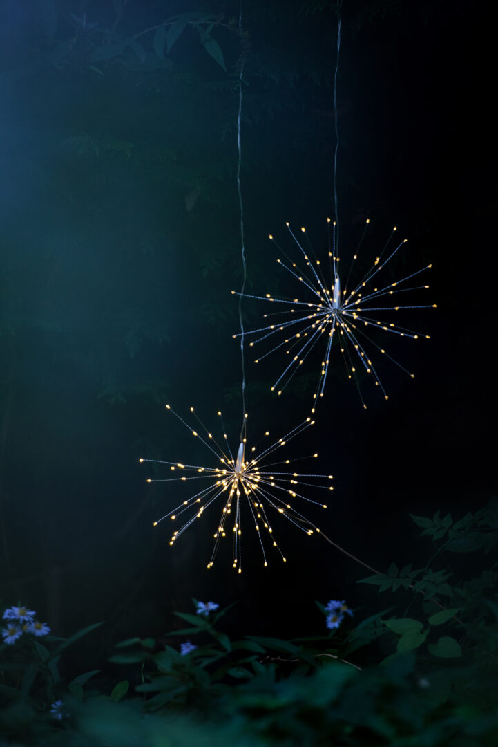 Detroit Garden Works