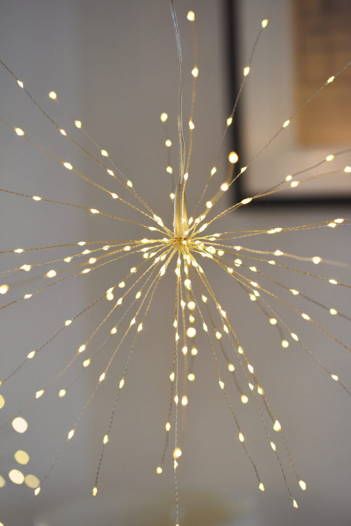 Detroit Garden Works