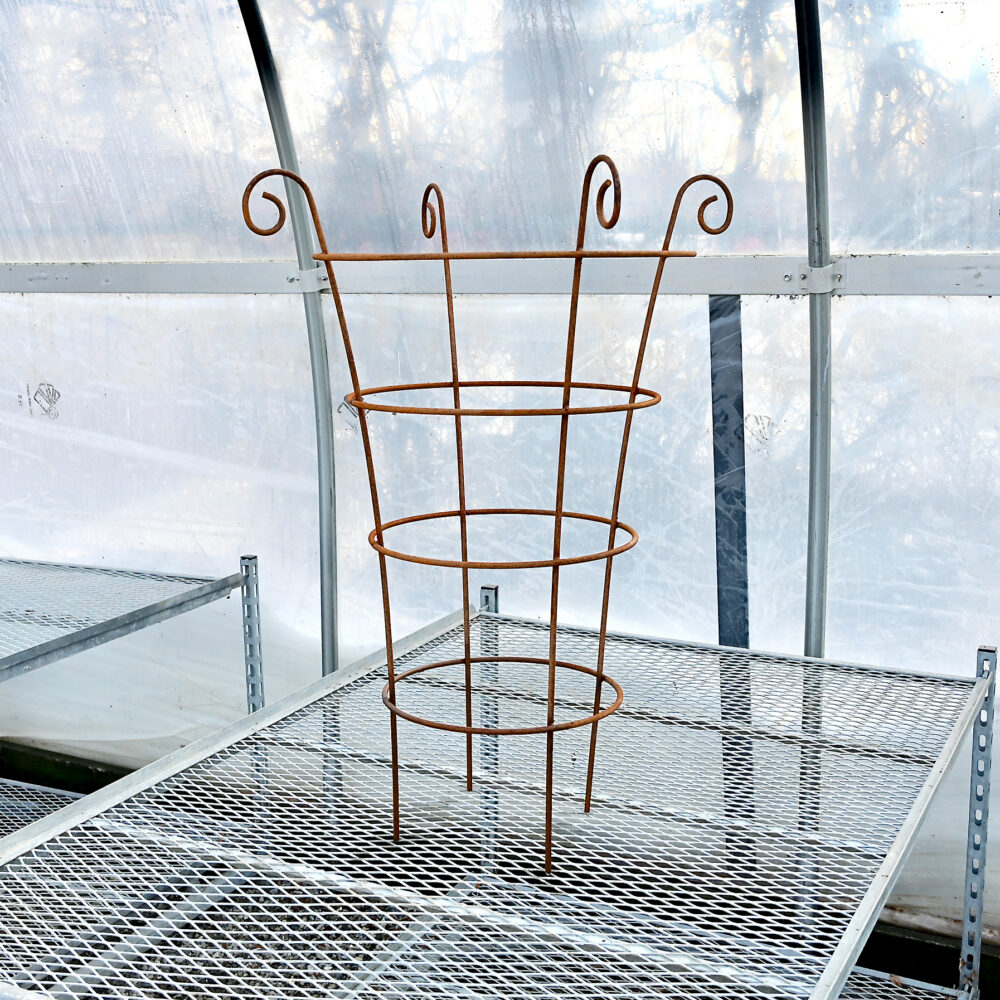 Scroll Herbaceous Support