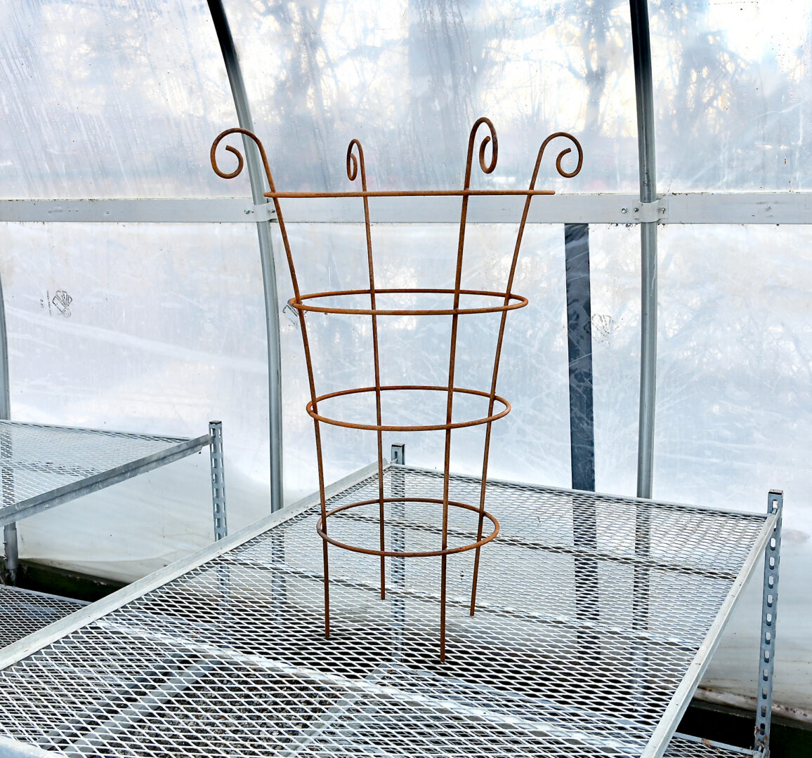 Scroll Herbaceous Support