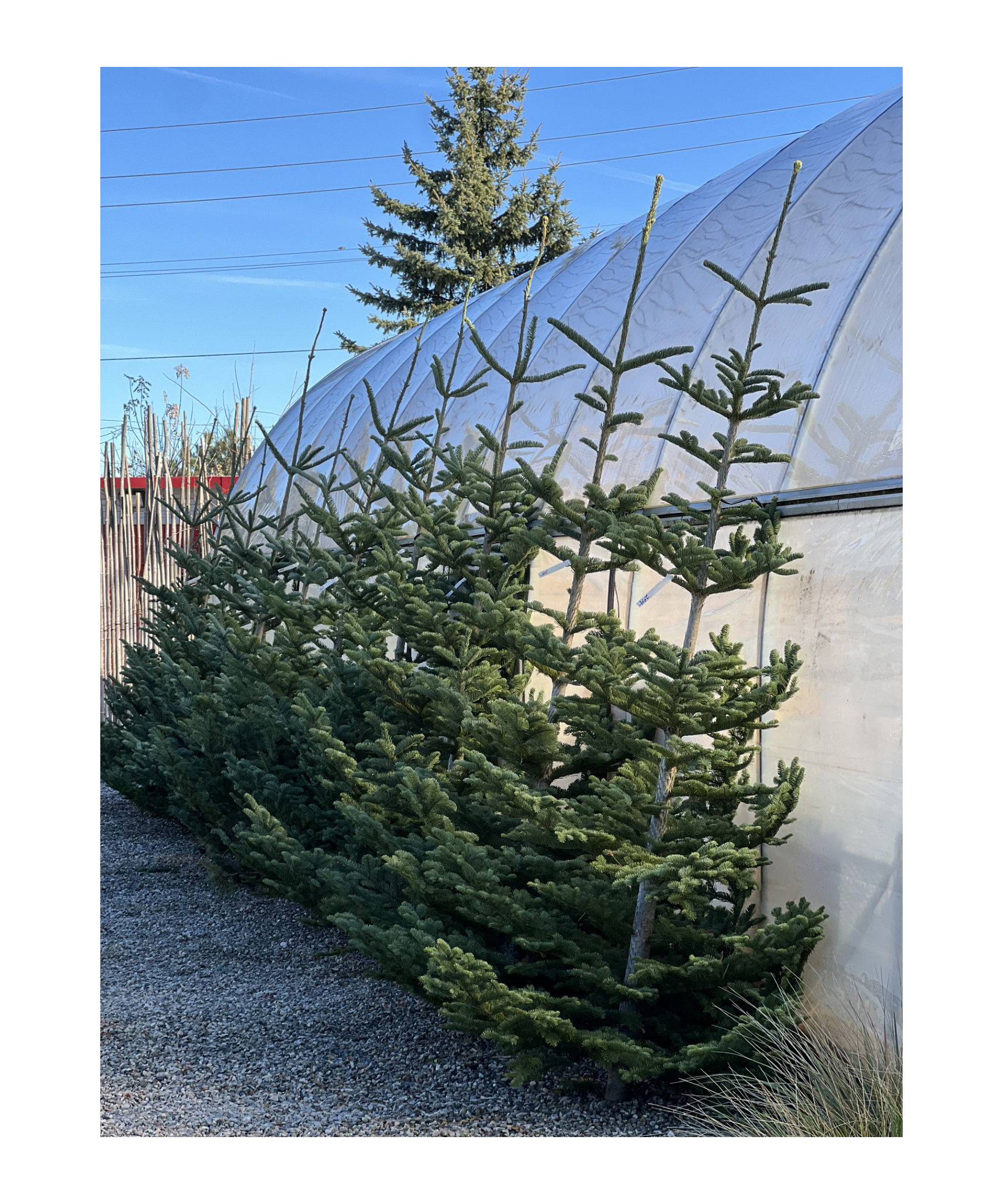 Detroit Garden Works