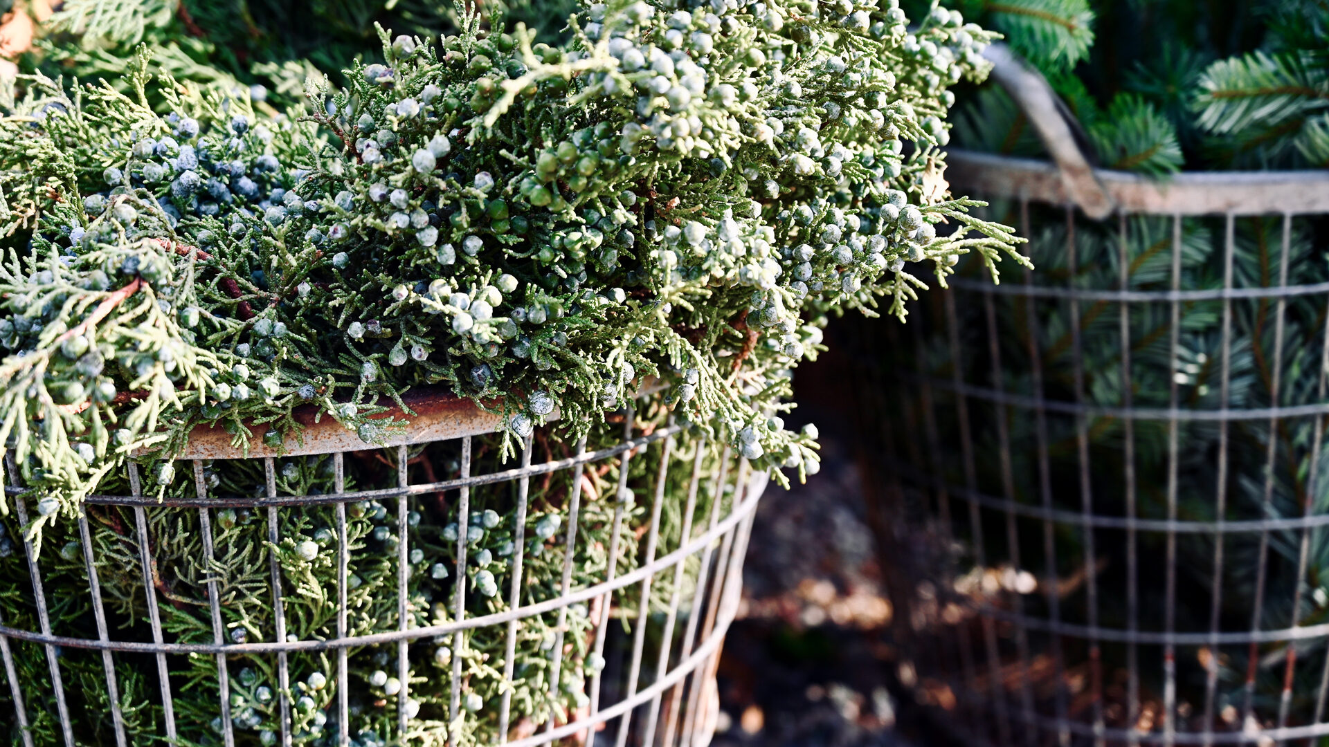 Detroit Garden Works