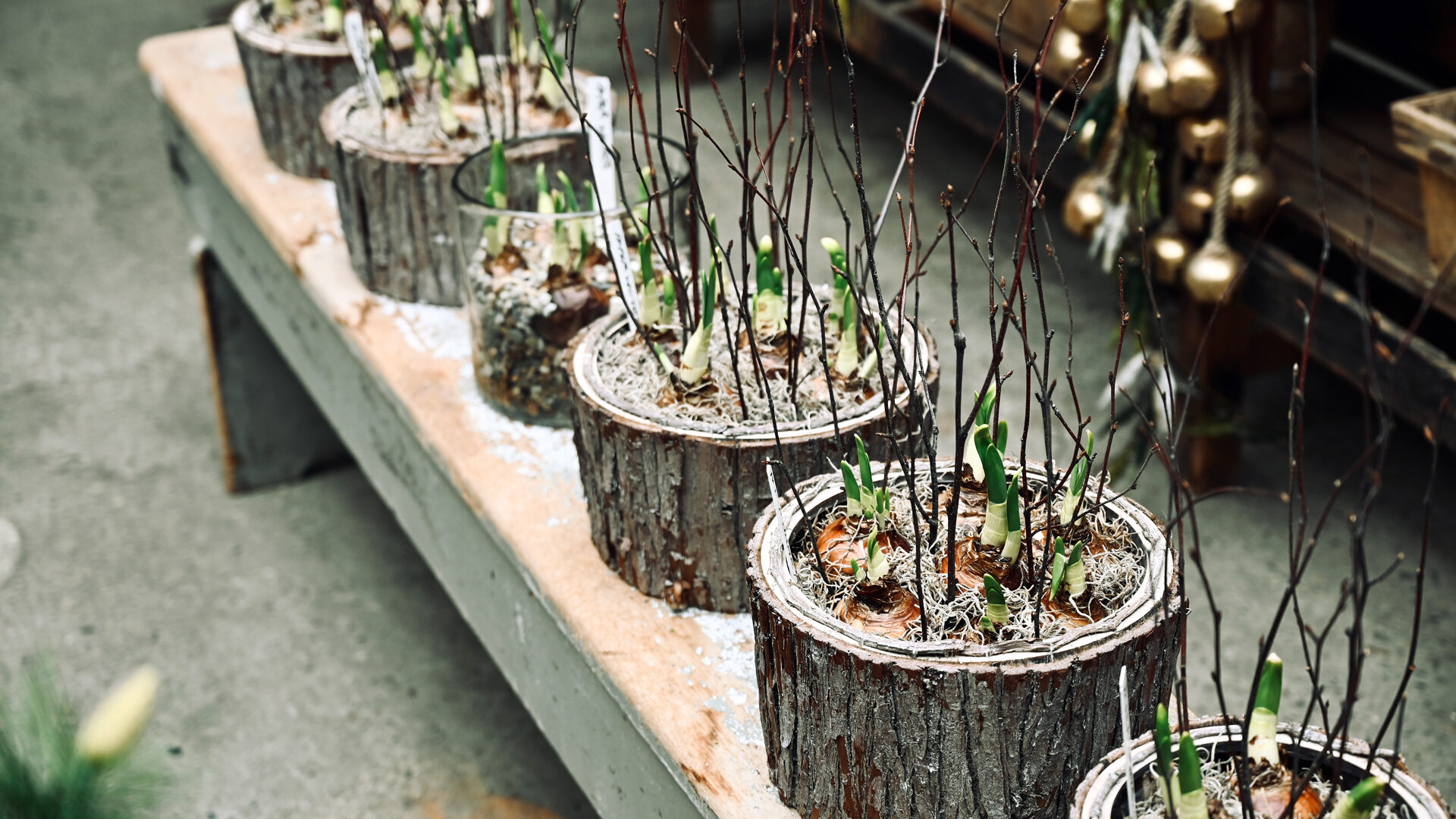 Detroit Garden Works