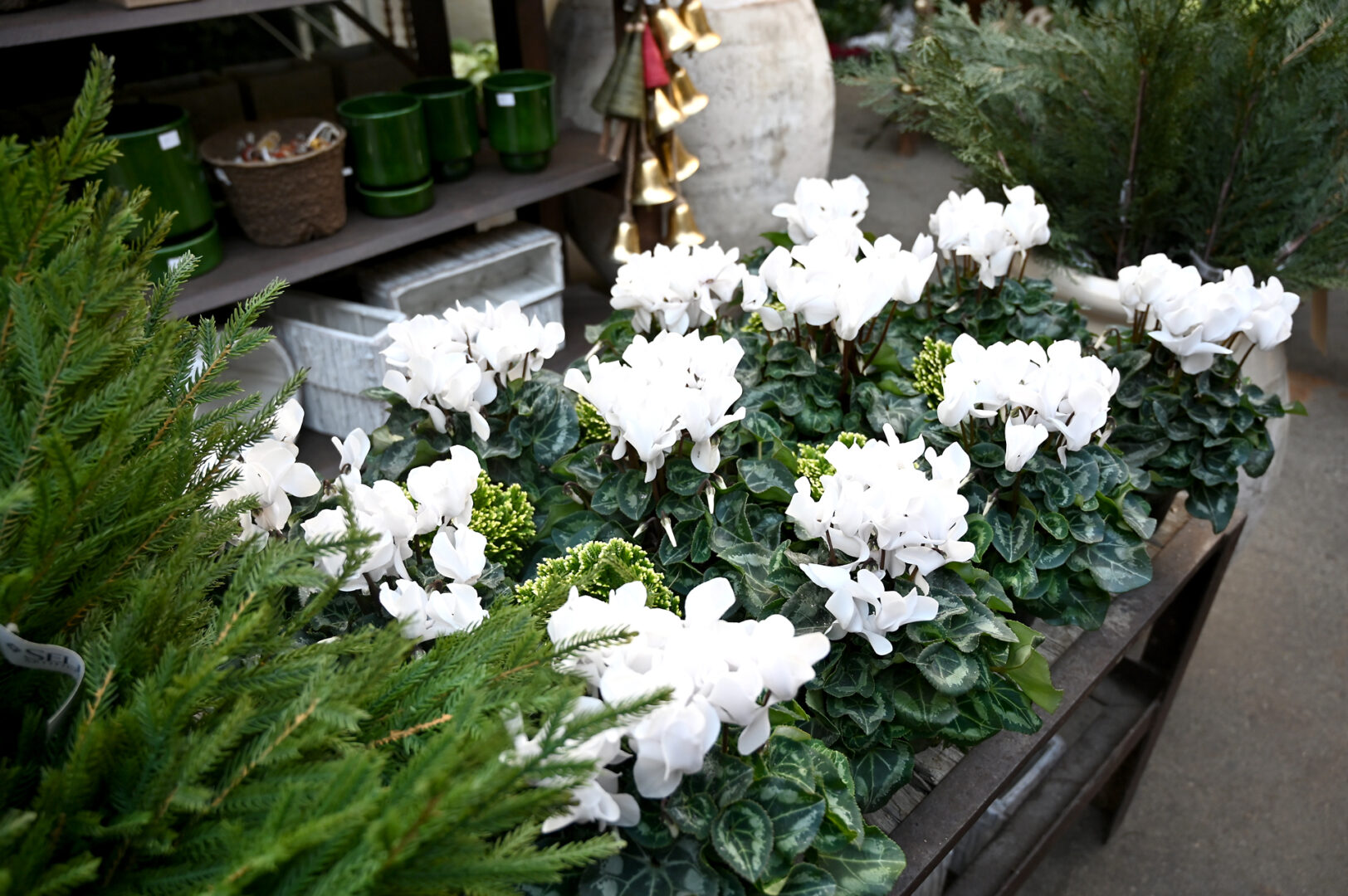 Detroit Garden Works