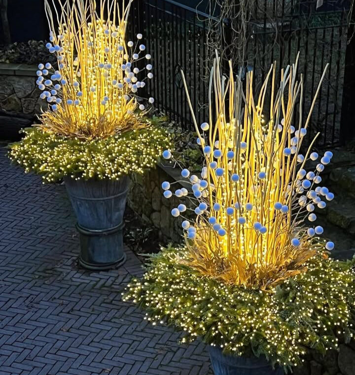 Shop: Containers | Detroit Garden Works