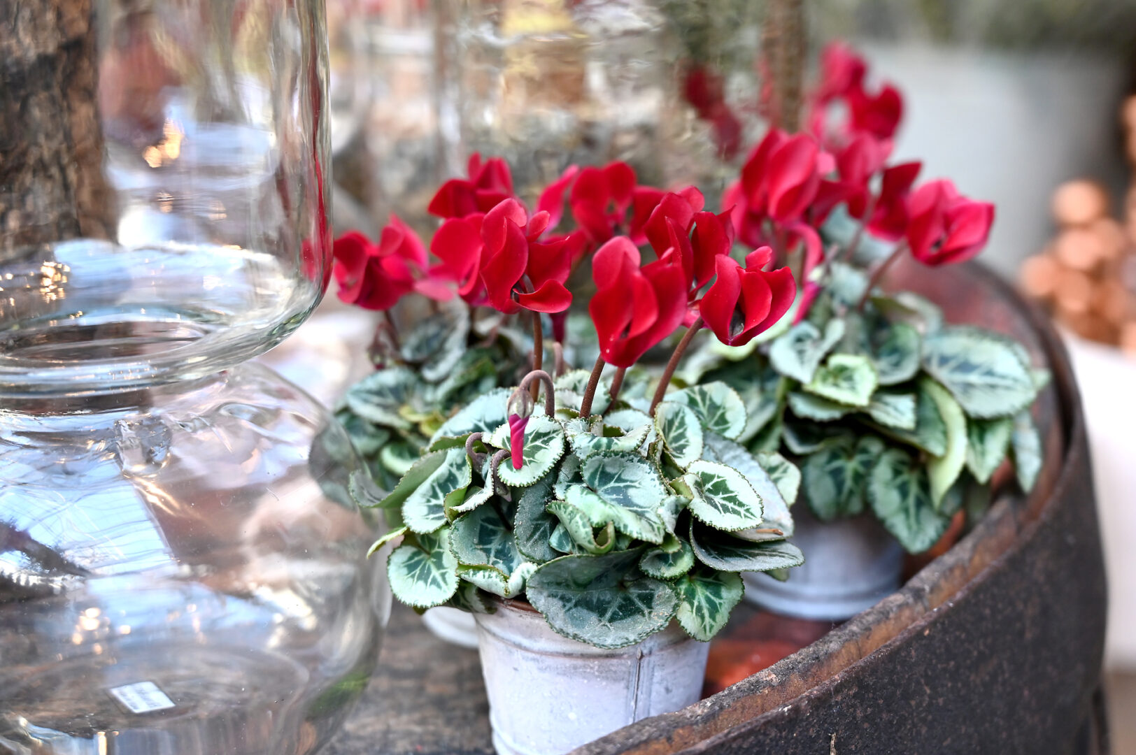 Detroit Garden Works