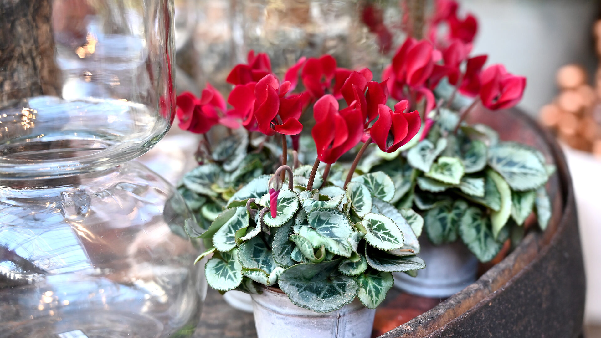 How to Buy - Detroit Garden Works