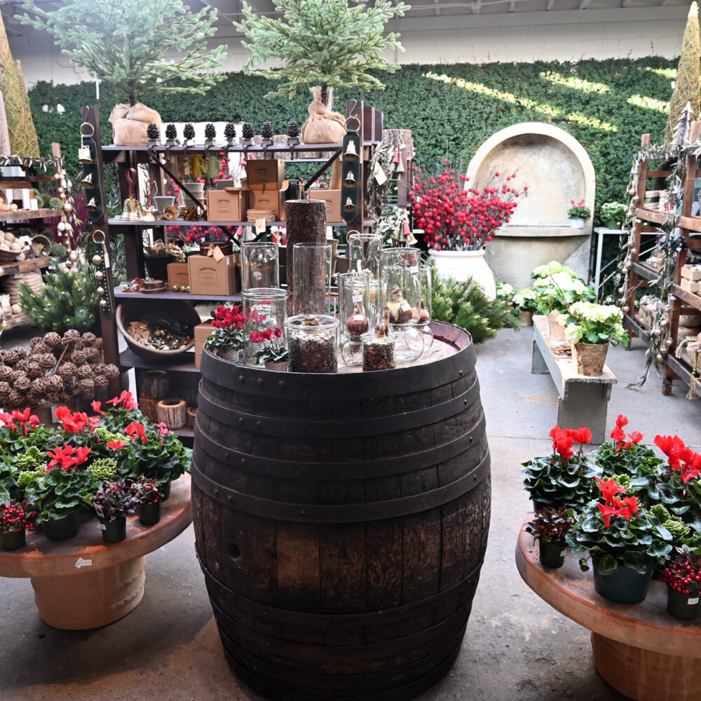 Seasonal Plant Material