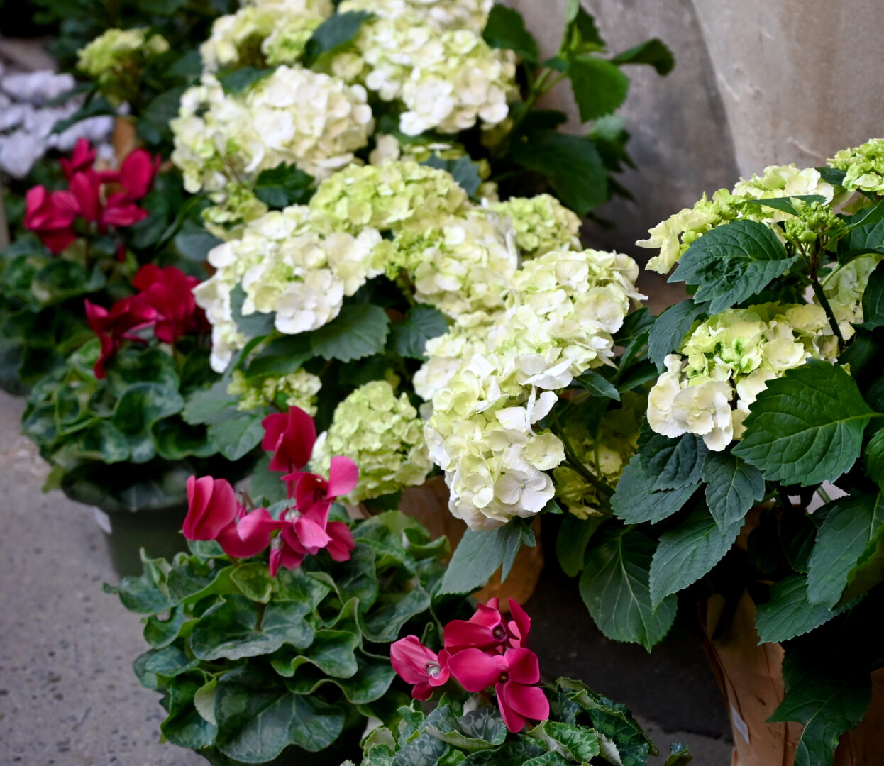 Detroit Garden Works