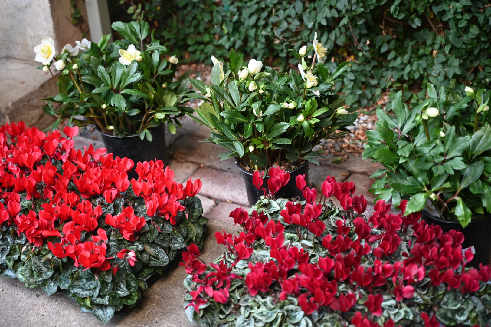 Detroit Garden Works