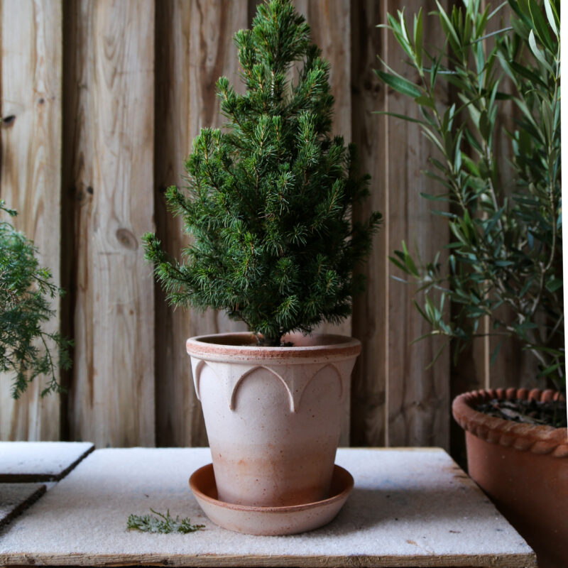 Detroit Garden Works