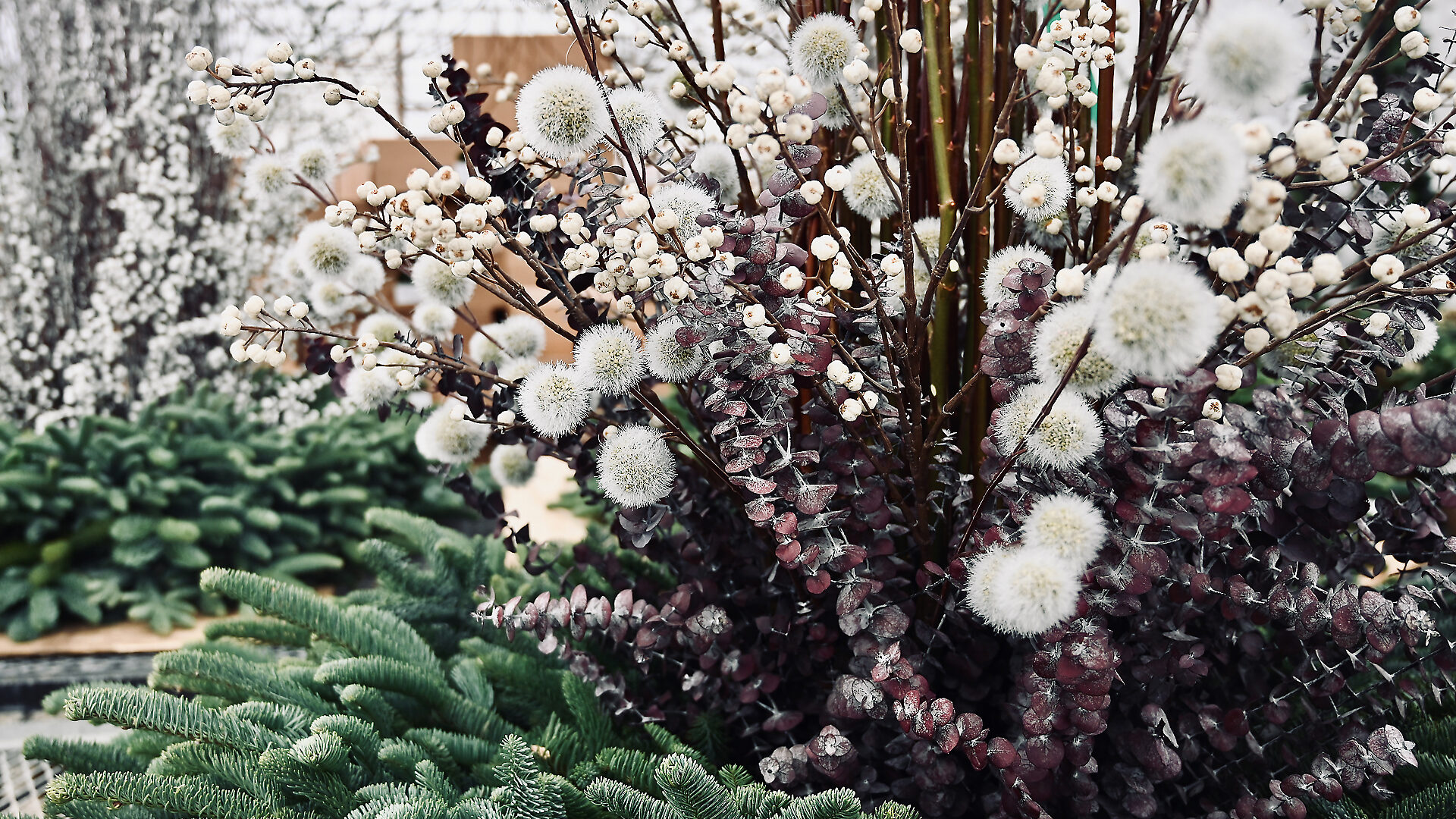Arrangements with Eucalyptus and Fresh Cut Twig - Detroit Garden Works
