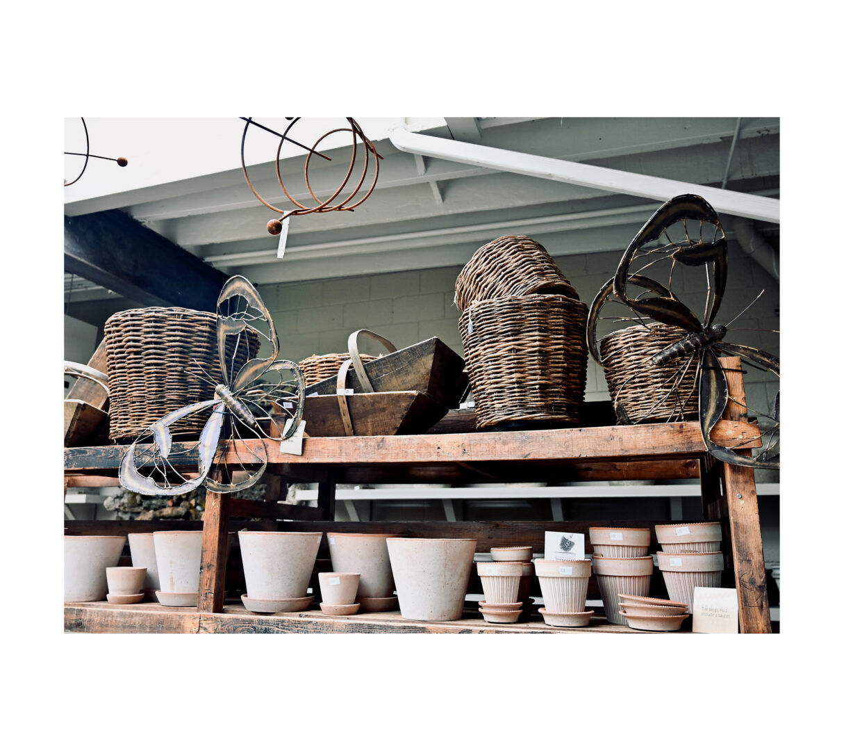 Drypot® Twig – St. Thomas Bean Brown