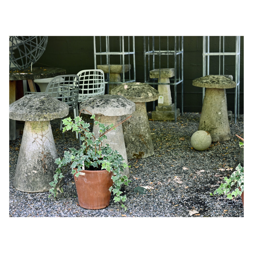 Eleven Staddle Stones