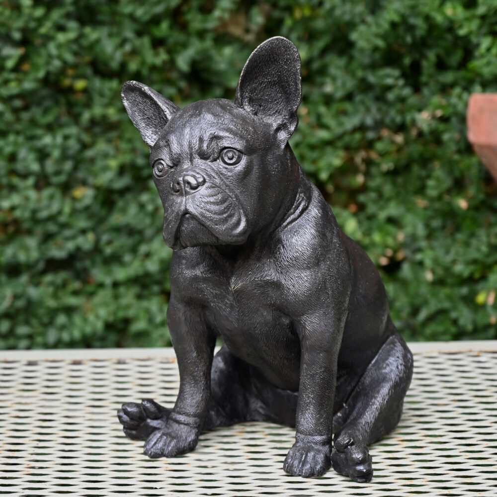 Bronze French Bulldog