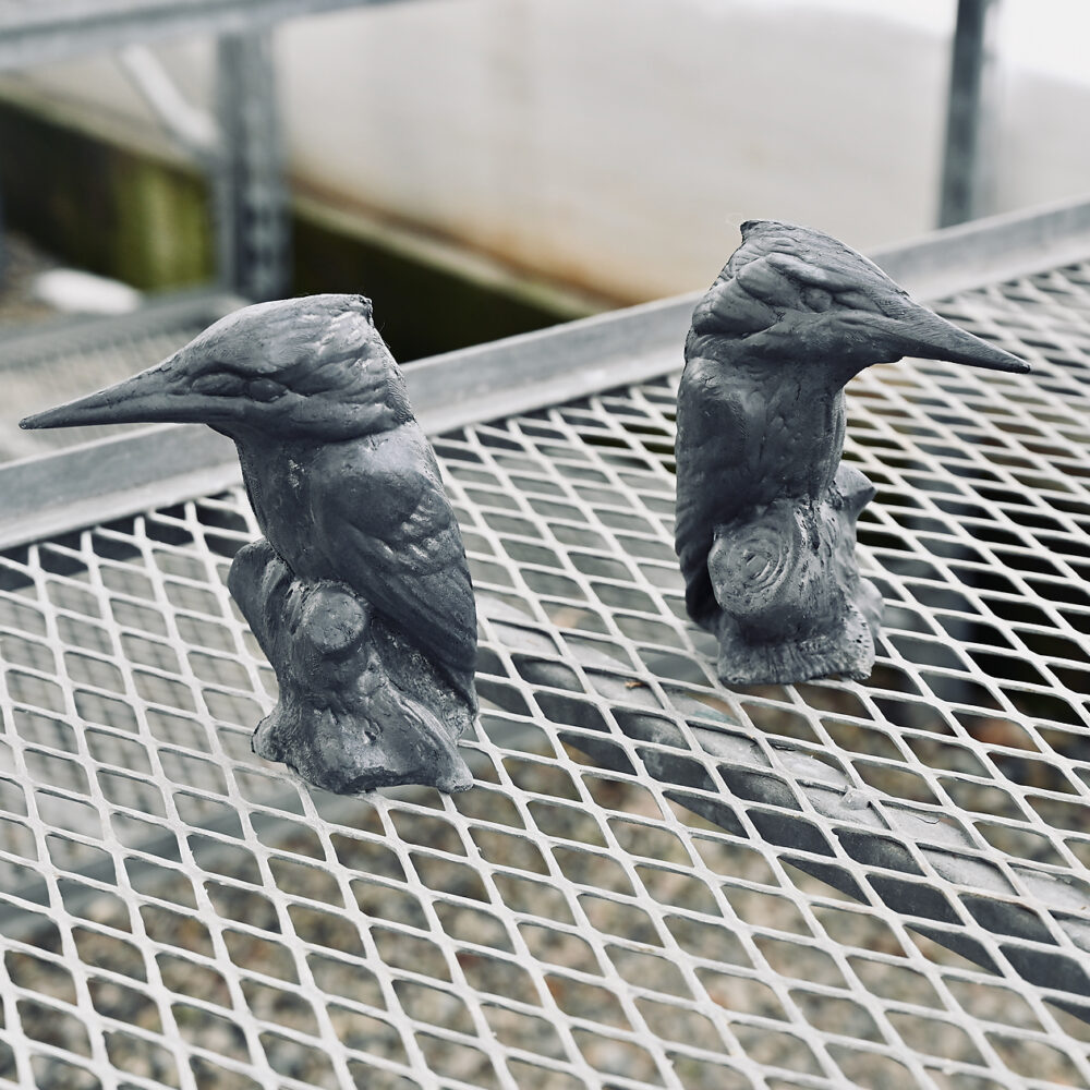 English Lead Kingfisher