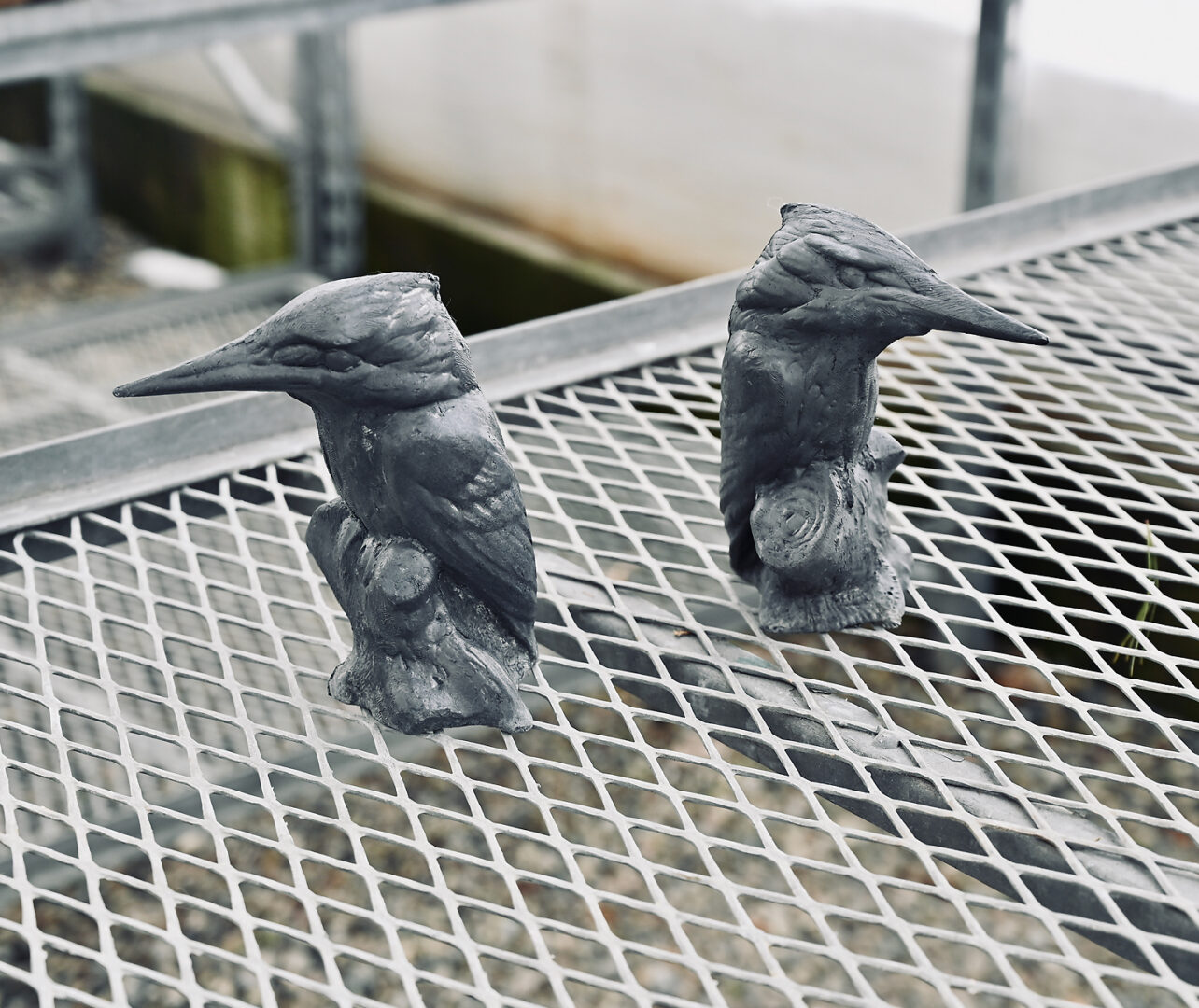 English Lead Kingfisher