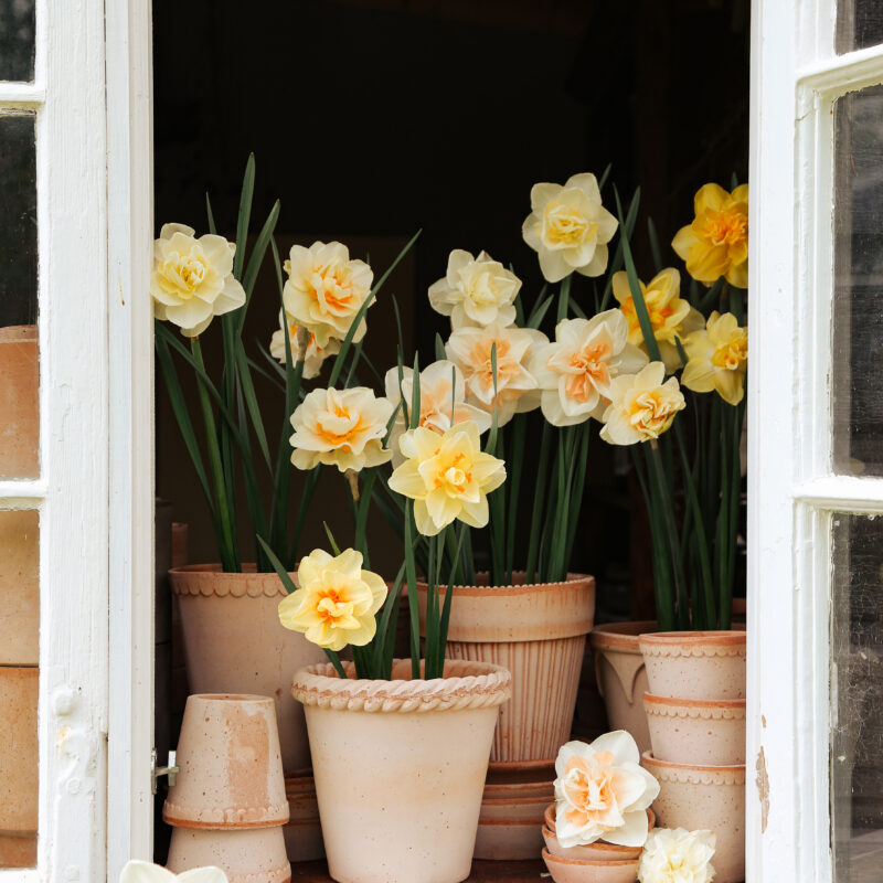 Detroit Garden Works