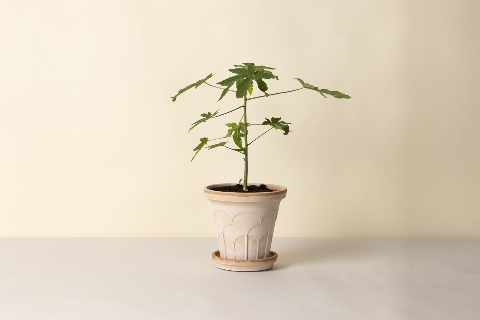 Detroit Garden Works