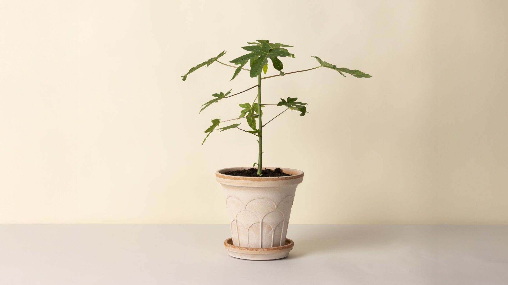 Detroit Garden Works