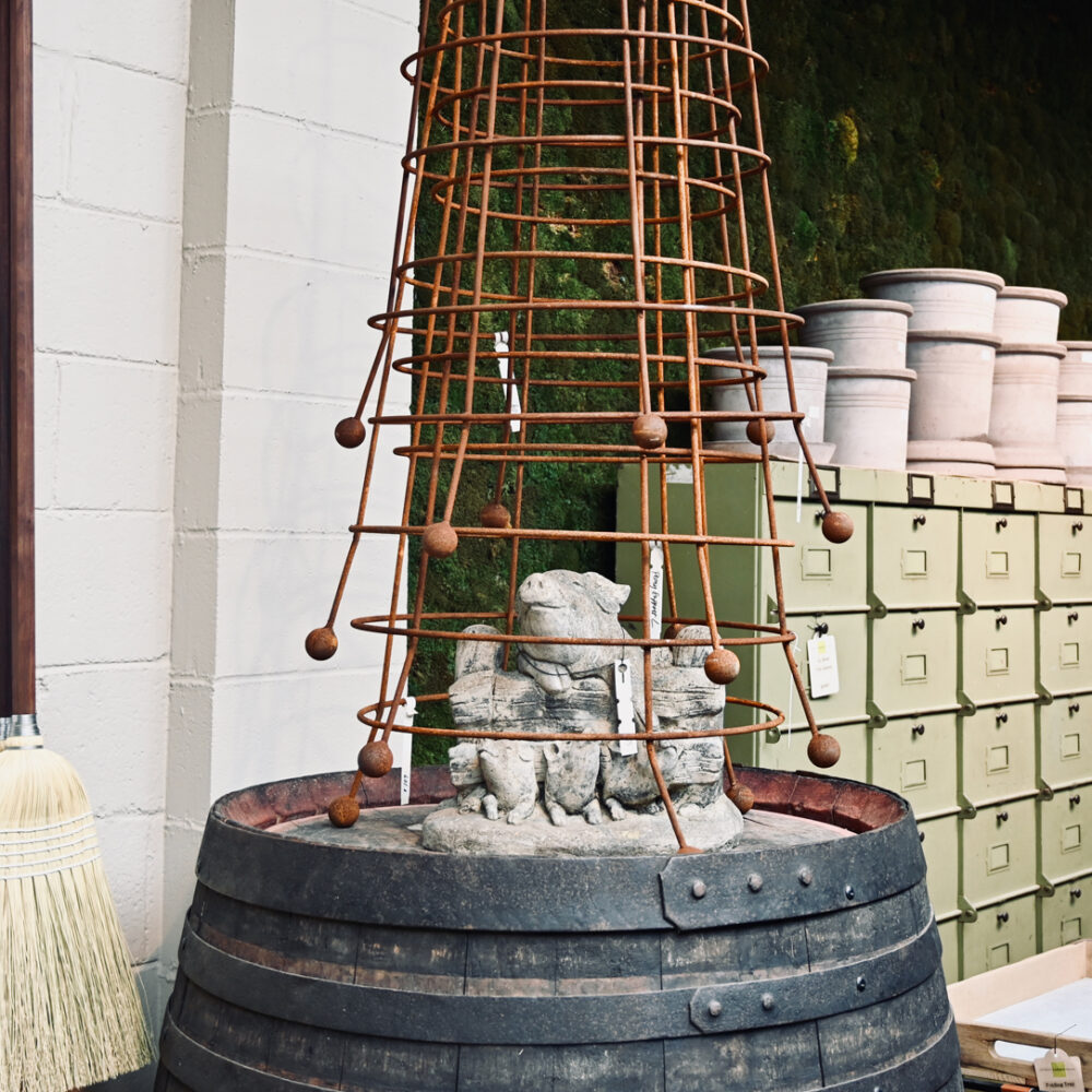 Pig on Fence with Piglets