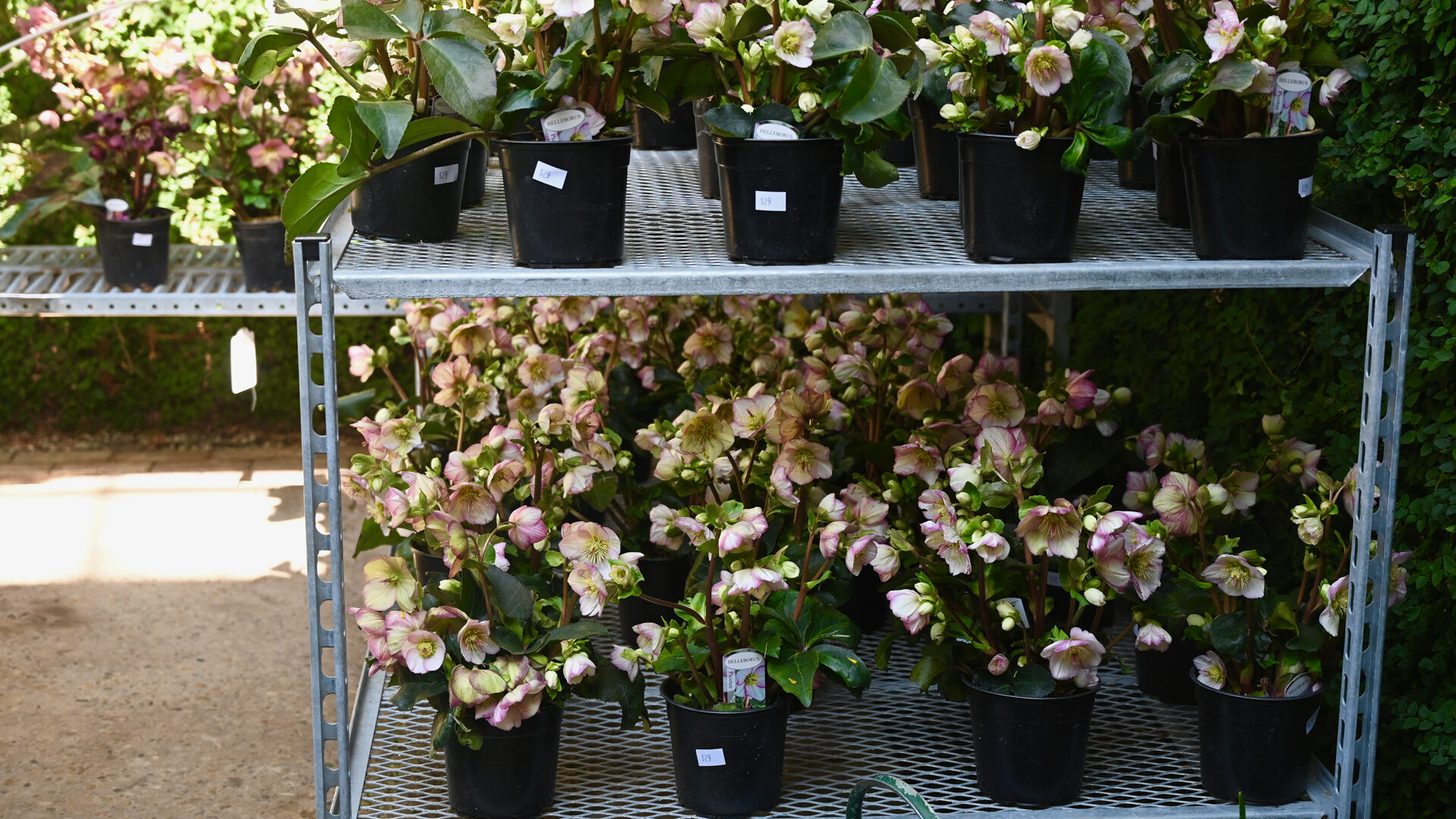 Detroit Garden Works