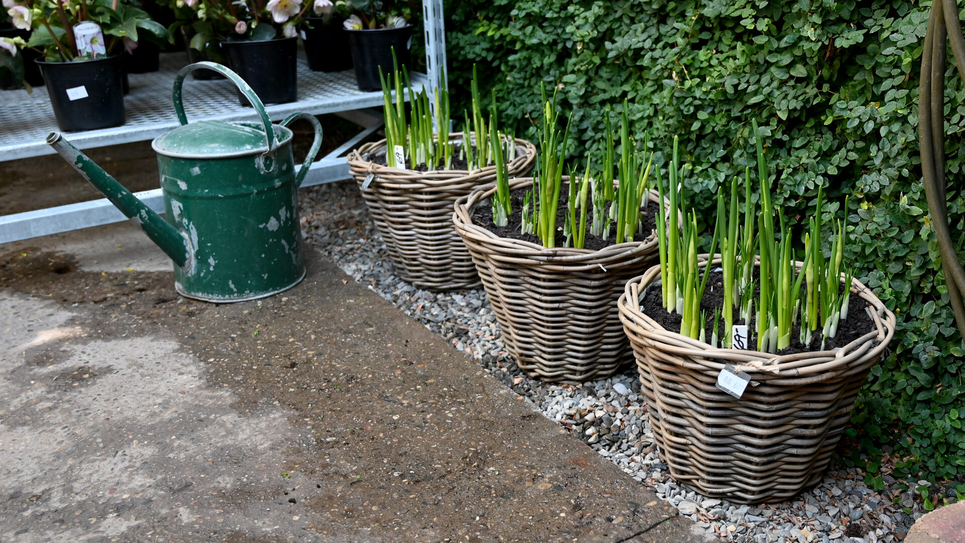 Detroit Garden Works