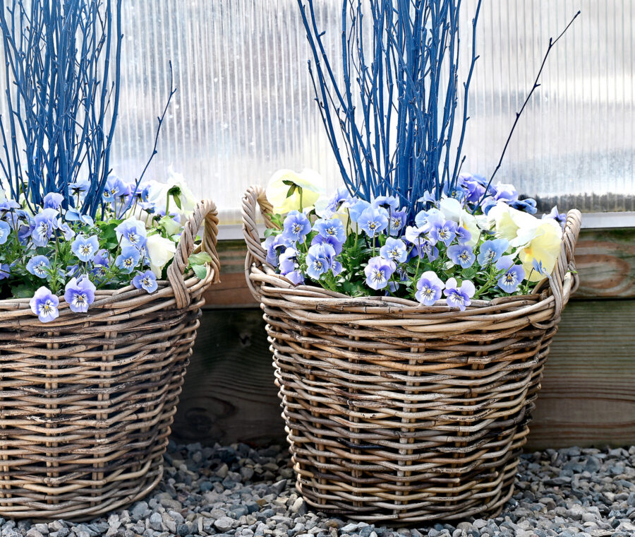 Shop: Containers | Detroit Garden Works