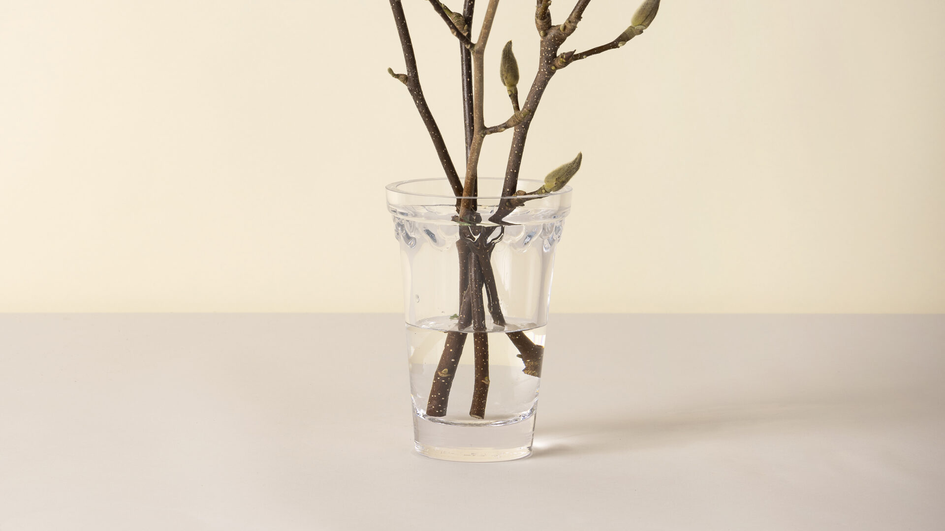 Detroit Garden Works