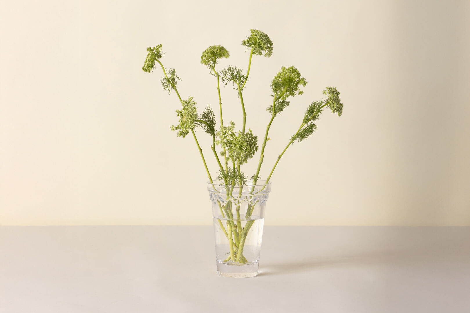 Detroit Garden Works