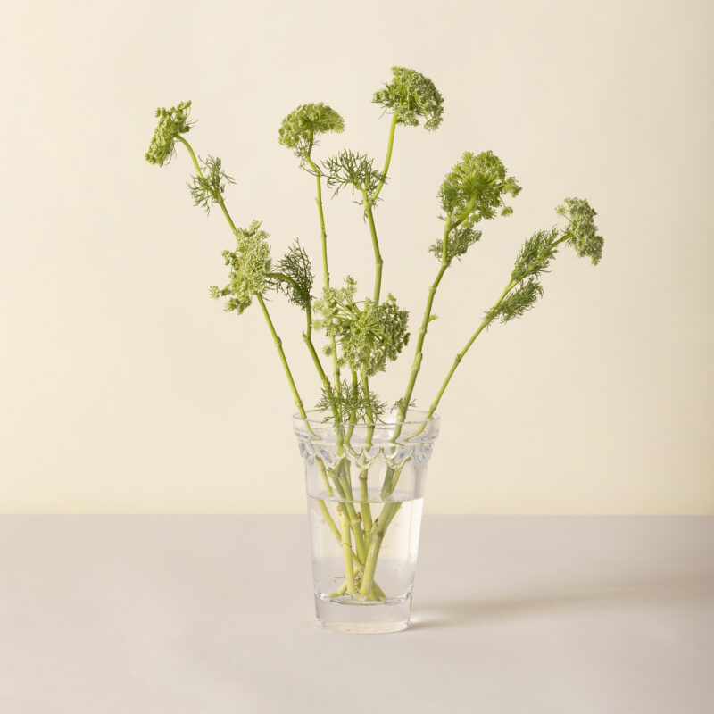 Detroit Garden Works