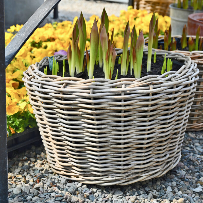 Detroit Garden Works