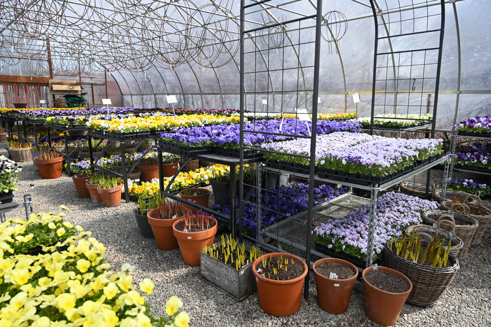 Seasonal Plant Material