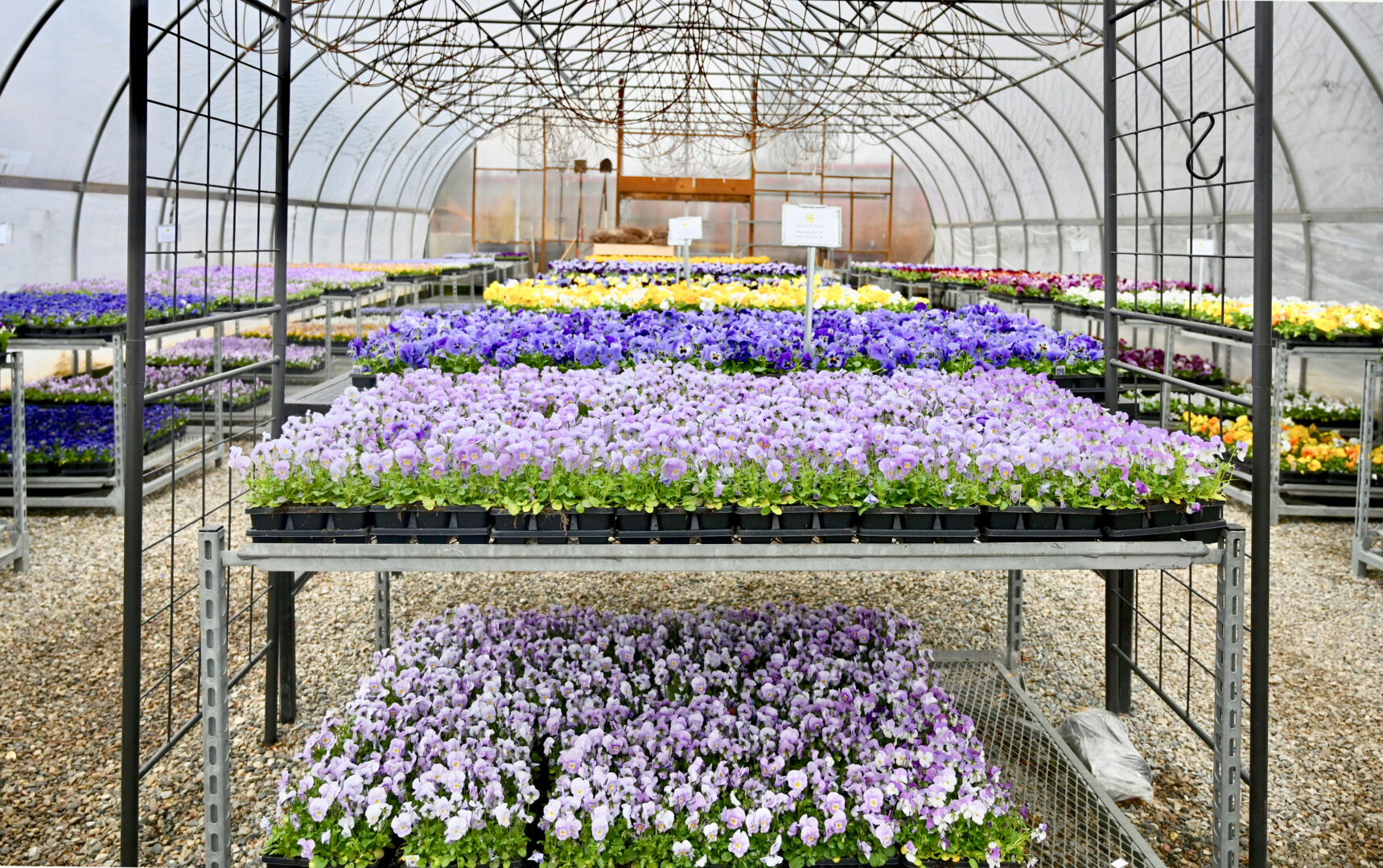 Detroit Garden Works