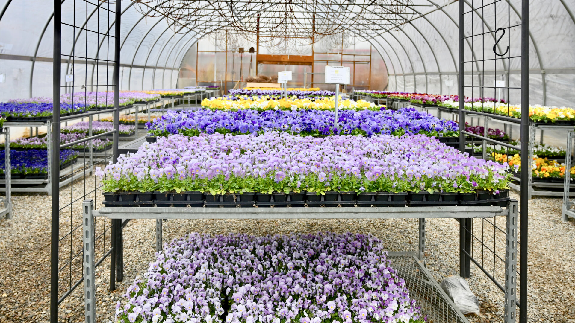 Detroit Garden Works