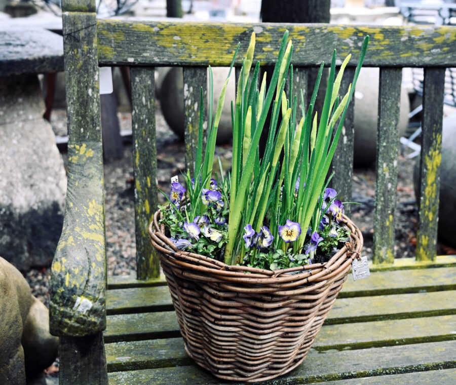 Shop: Containers | Detroit Garden Works