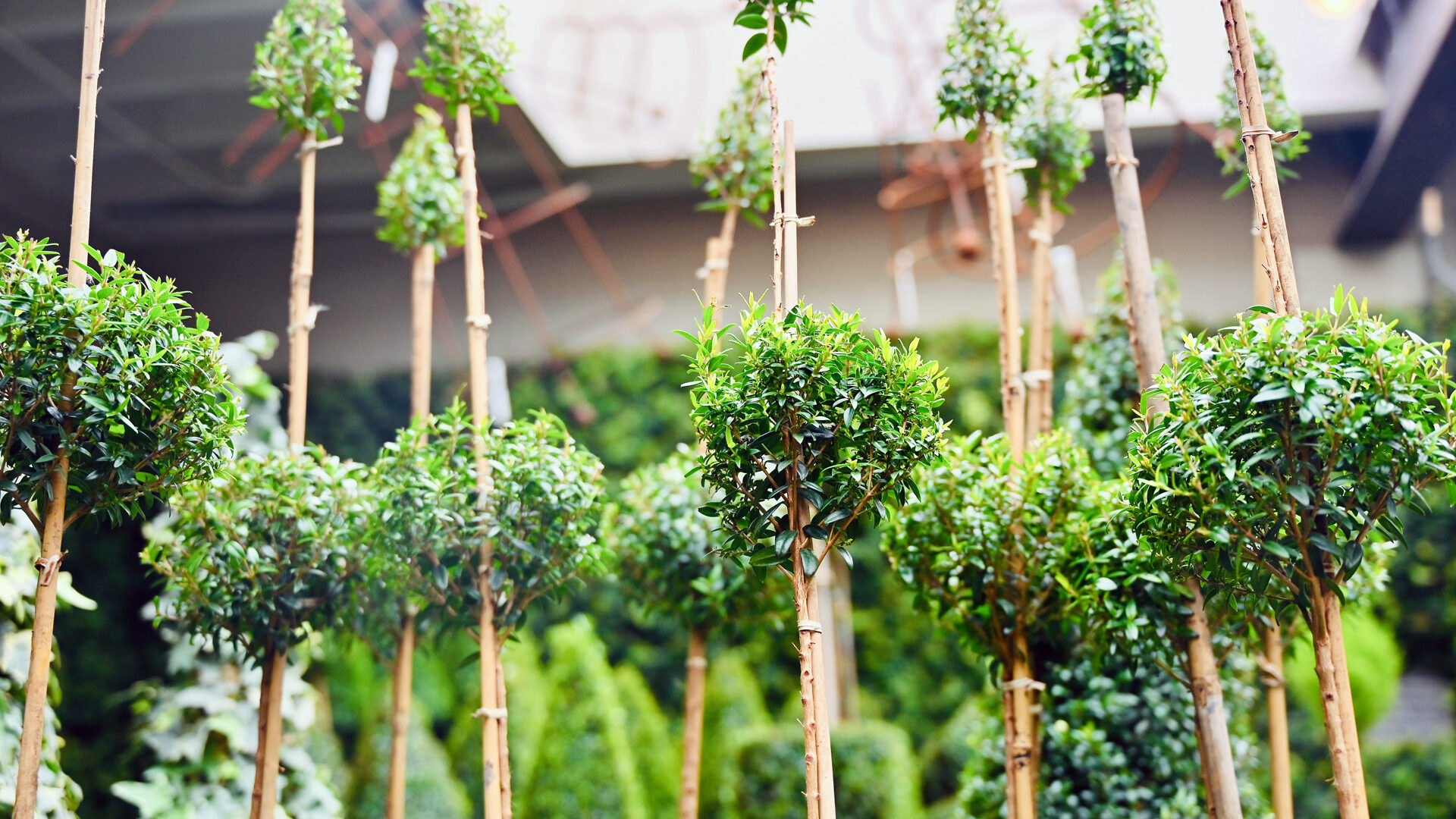 Detroit Garden Works